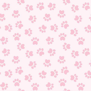 Meet your Posher, Alondra